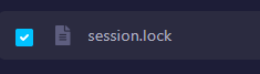 session.lock file